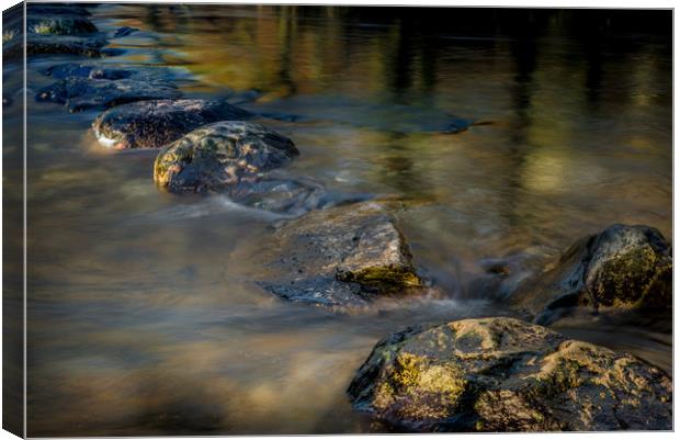 A Step Further Canvas Print by John Malley