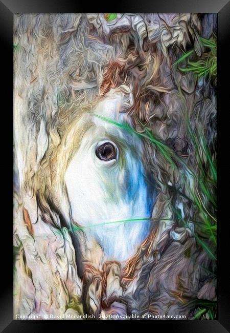       Art in Trees                          Framed Print by David Mccandlish