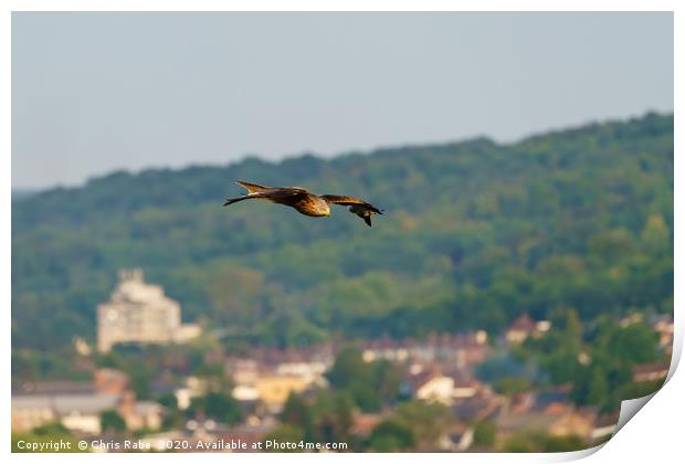 Red Kite over West Wycombe Print by Chris Rabe