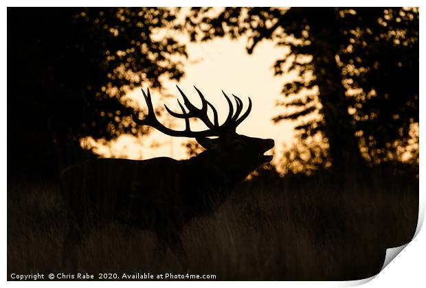 Red deer stag silhouette Print by Chris Rabe