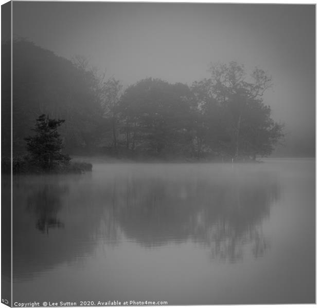 Trees in the mist Canvas Print by Lee Sutton