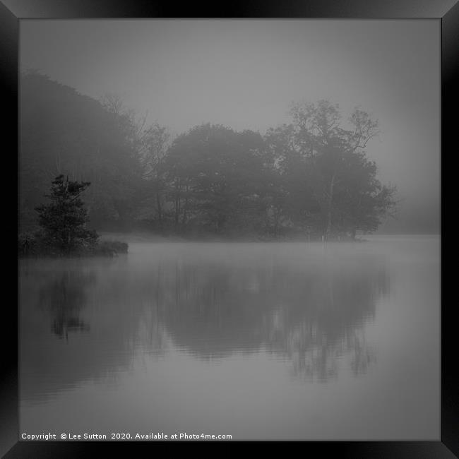 Trees in the mist Framed Print by Lee Sutton
