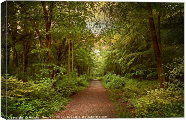 Quiet Paths Canvas Print by Heather Goodwin