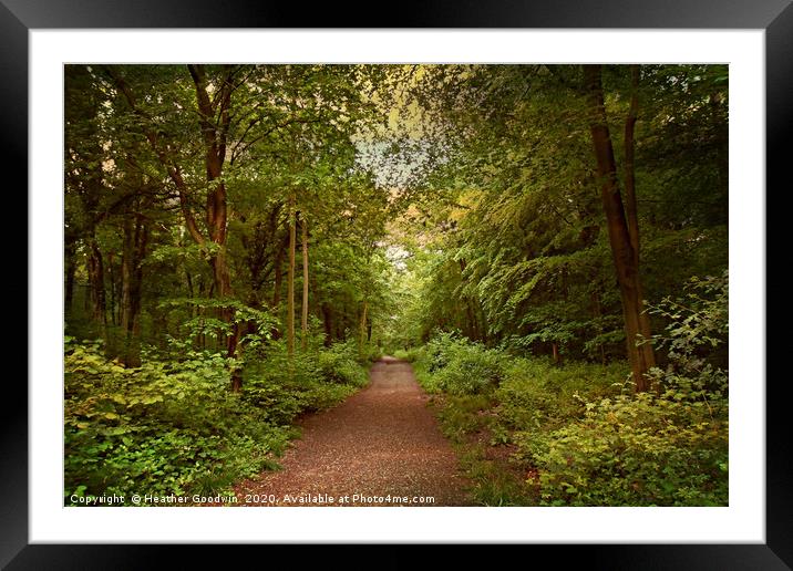 Quiet Paths Framed Mounted Print by Heather Goodwin