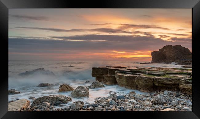 South Shields rocks at sunrise Framed Print by Marcia Reay