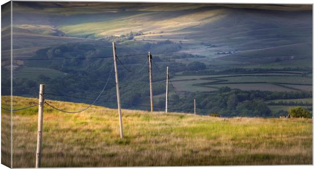 Telegraph poles on the Welsh hills Canvas Print by Leighton Collins