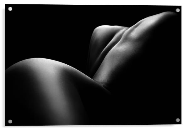 Nude woman bodyscape 61 Acrylic by Johan Swanepoel