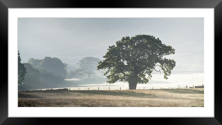 The English Oak Framed Mounted Print by John Malley