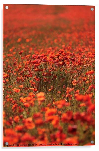 Dawn light over poppy field Acrylic by Simon Johnson