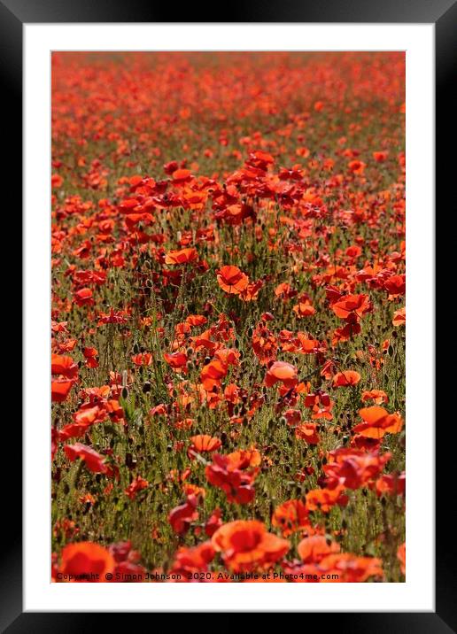 More Poppies Framed Mounted Print by Simon Johnson