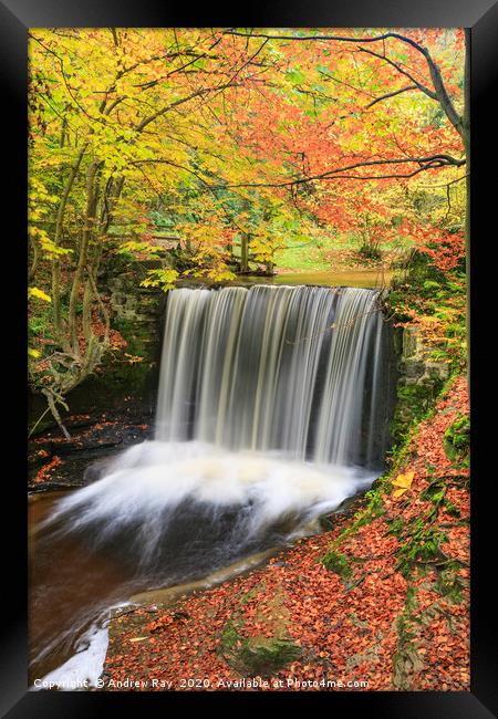 Autumn colour (Nant Mill Waterfall) Framed Print by Andrew Ray