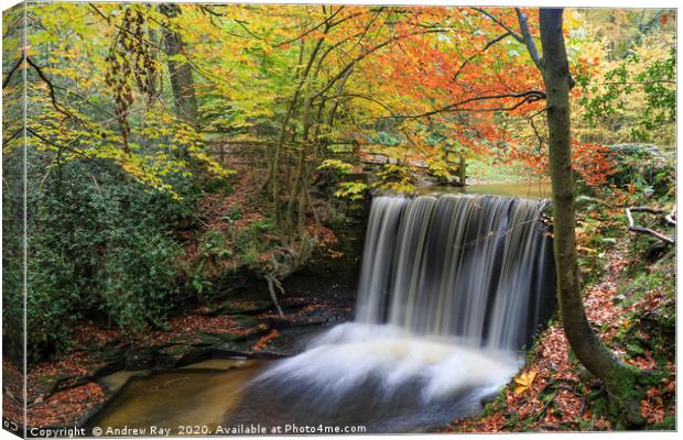 Nant Mill Waterfall view. Canvas Print by Andrew Ray
