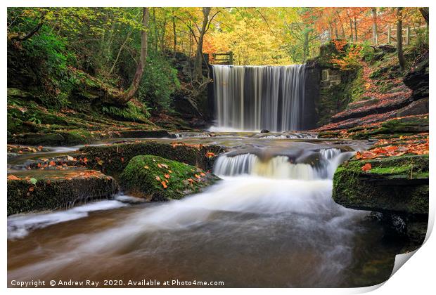 Waterfalls at Nant Mill Print by Andrew Ray