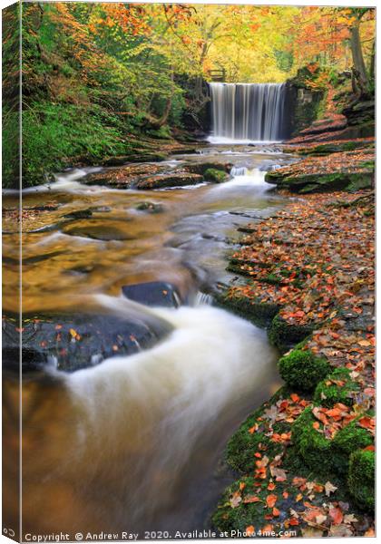 Stream at waterfall (Nant Mill) Canvas Print by Andrew Ray