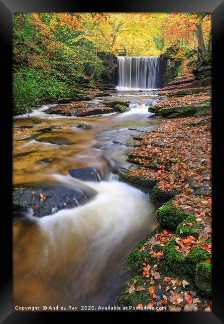 Stream at waterfall (Nant Mill) Framed Print by Andrew Ray