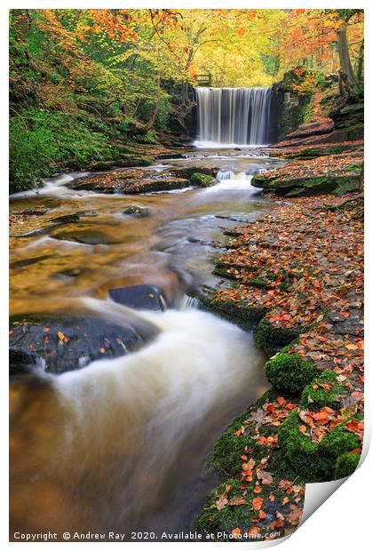Stream at waterfall (Nant Mill) Print by Andrew Ray