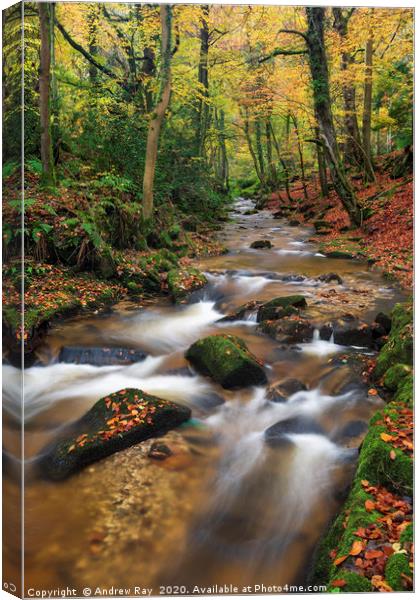 Nant Mill Stream Canvas Print by Andrew Ray