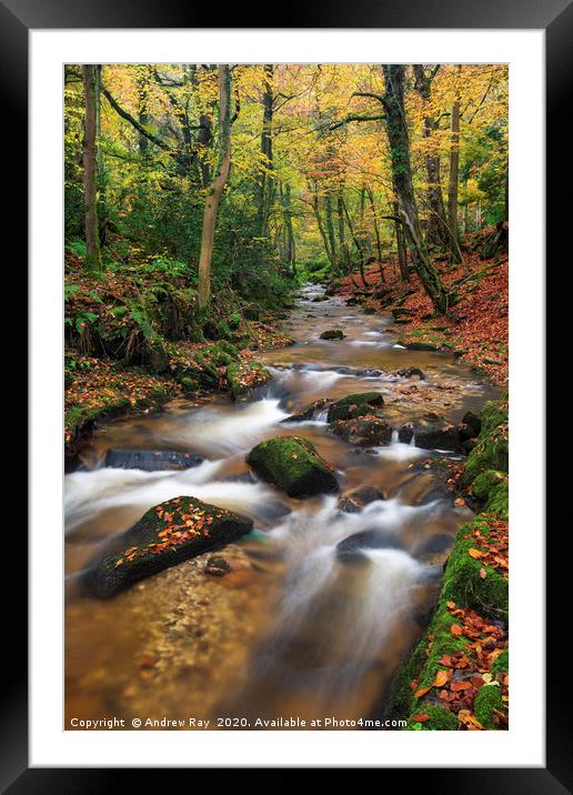 Nant Mill Stream Framed Mounted Print by Andrew Ray