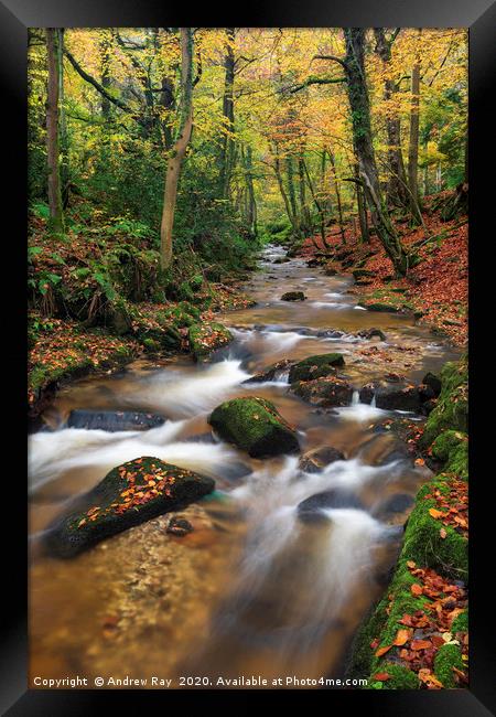 Nant Mill Stream Framed Print by Andrew Ray