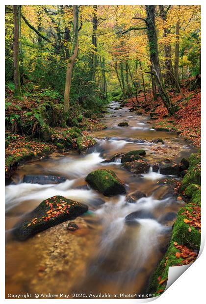 Nant Mill Stream Print by Andrew Ray