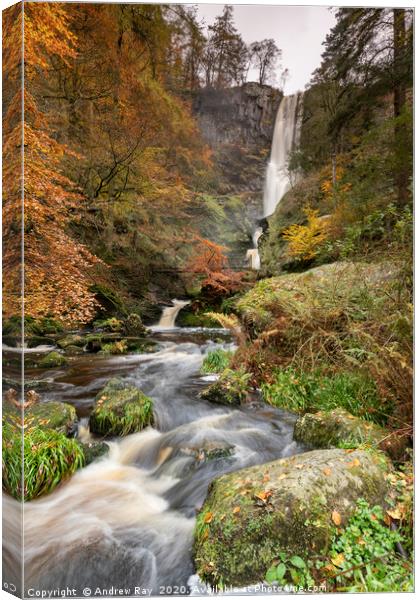 Pistyll Rhaeadr from the Afron Rhaeadr. Canvas Print by Andrew Ray