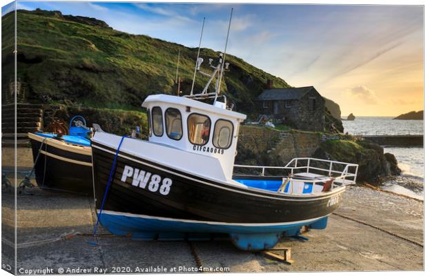 Late light at Mullion Cove Canvas Print by Andrew Ray