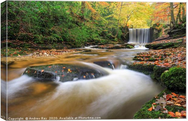 Autumn at Nant Mill Waterfall Canvas Print by Andrew Ray