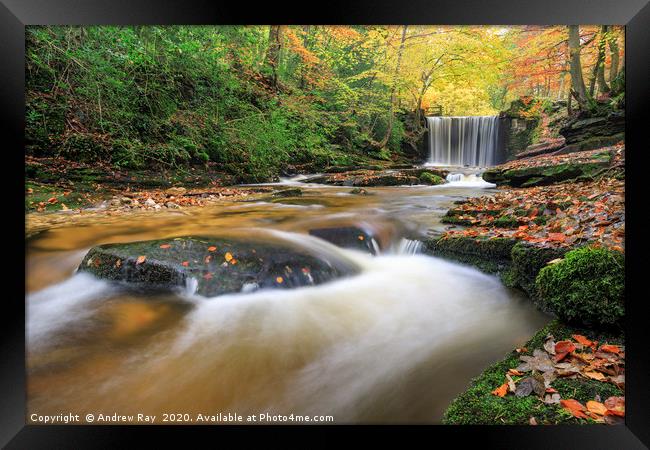 Autumn at Nant Mill Waterfall Framed Print by Andrew Ray