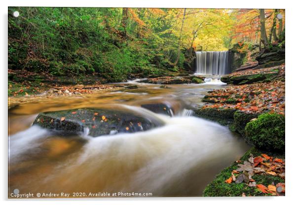 Autumn at Nant Mill Waterfall Acrylic by Andrew Ray