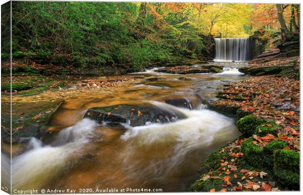 Waterfall (Nant Mill) Canvas Print by Andrew Ray