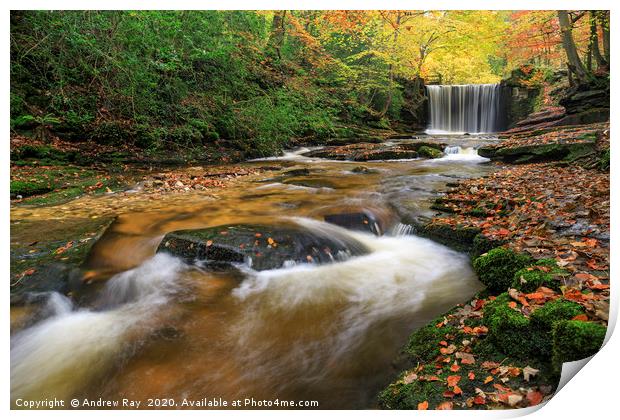 Waterfall (Nant Mill) Print by Andrew Ray
