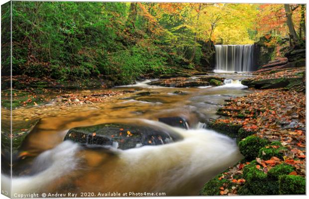 Towards Nant Mill Waterfall Canvas Print by Andrew Ray