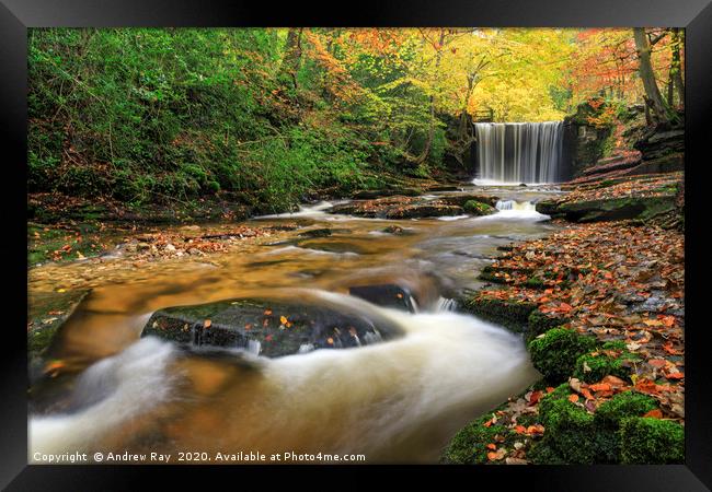 Towards Nant Mill Waterfall Framed Print by Andrew Ray