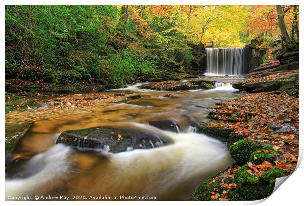 Towards Nant Mill Waterfall Print by Andrew Ray