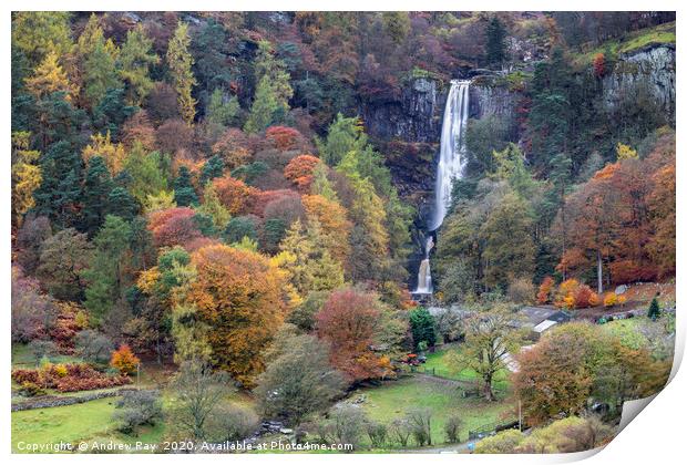 Autumnal view (Pistyll Rhaeadr) Print by Andrew Ray