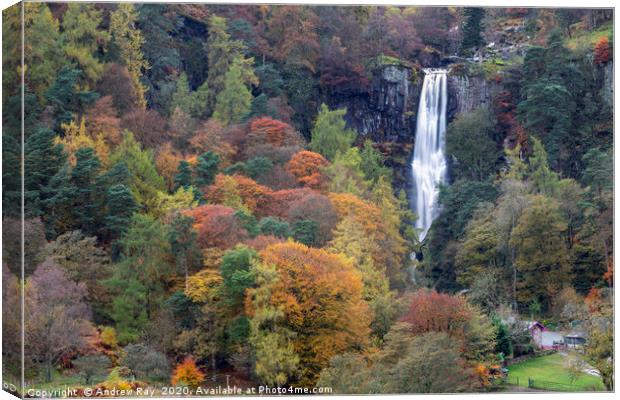 Autumn at Pistyll Rhaeadr Waterfall Canvas Print by Andrew Ray