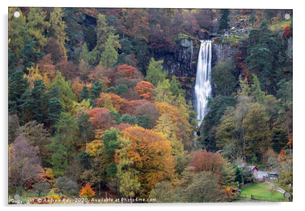 Autumn at Pistyll Rhaeadr Waterfall Acrylic by Andrew Ray