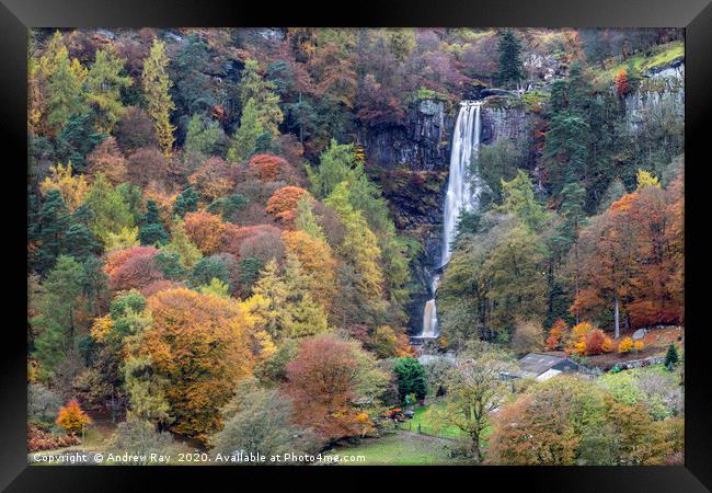 Autumnal trees at Pistyll Rhaeadr Framed Print by Andrew Ray