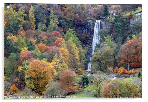 Autumnal trees at Pistyll Rhaeadr Acrylic by Andrew Ray