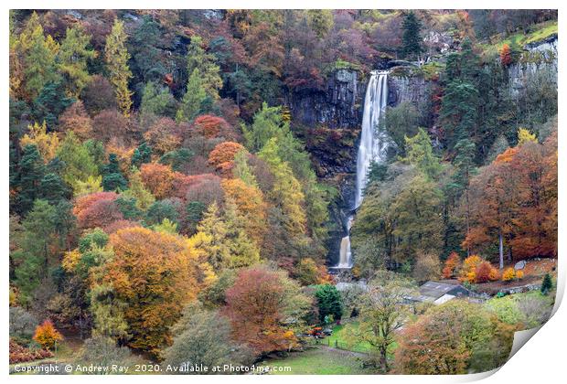 Autumnal trees at Pistyll Rhaeadr Print by Andrew Ray