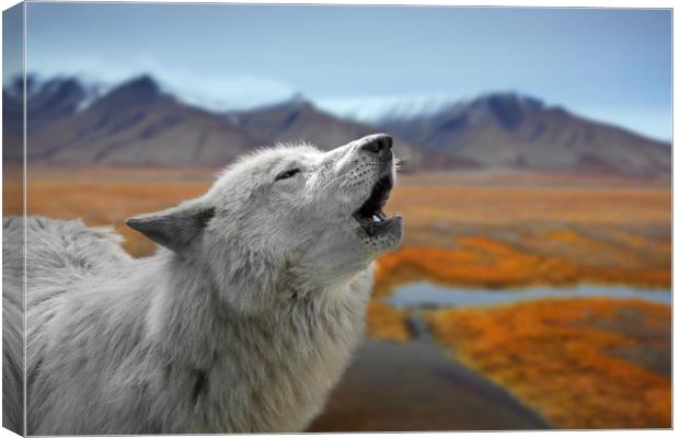 Howling White Wolf on the Tundra Canvas Print by Arterra 