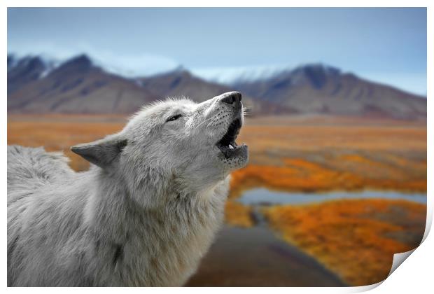 Howling White Wolf on the Tundra Print by Arterra 