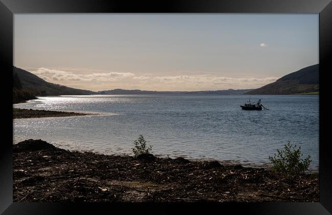 A fishing boat on Loch Striven, Argyll and Bute, S Framed Print by Dave Collins