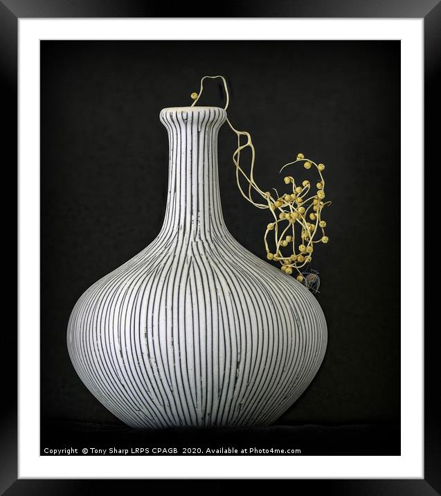 VASE WITH SEED CASES OF THE FAN PALM  Framed Mounted Print by Tony Sharp LRPS CPAGB