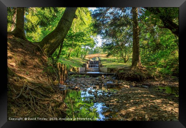 Summer Reflections at Mallards Pike Framed Print by David Tinsley