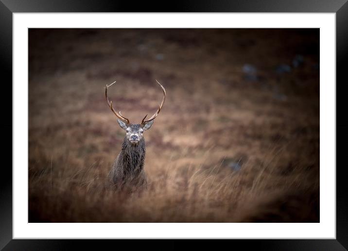 In his Element  Framed Mounted Print by John Malley