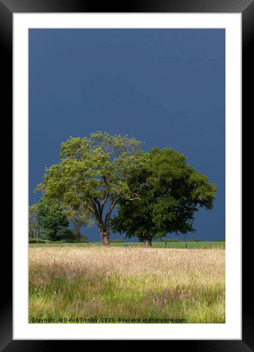 Before the Thunder Storm Framed Mounted Print by David Tinsley