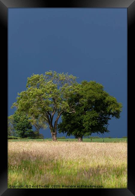 Before the Thunder Storm Framed Print by David Tinsley