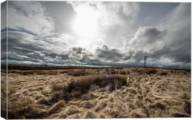 Winter's Gibbet Canvas Print by John Malley