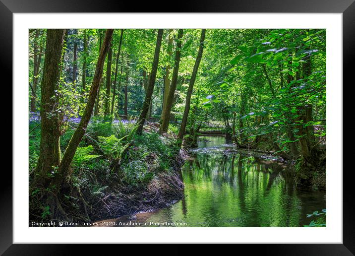 Reflections along the Lyd  Framed Mounted Print by David Tinsley